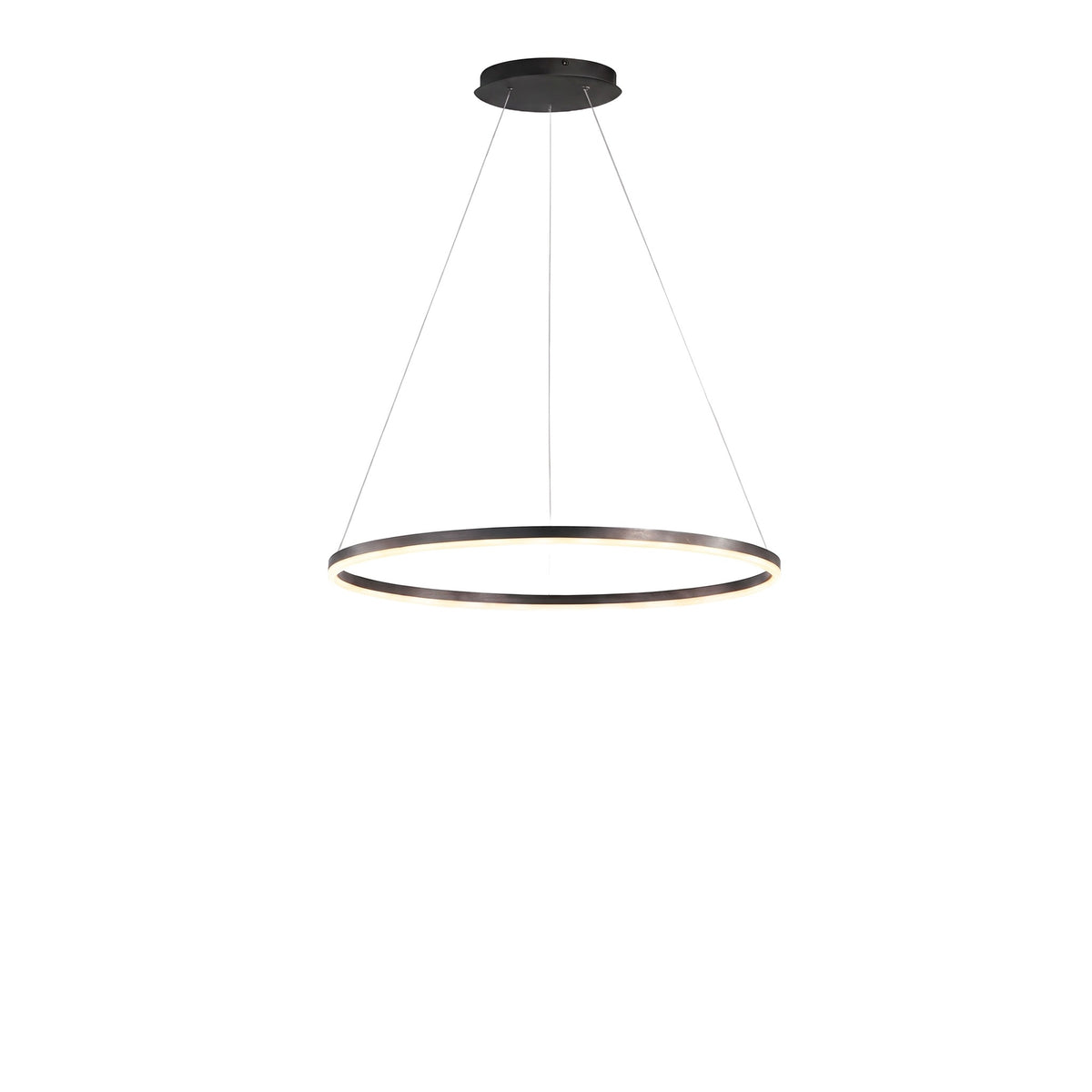 16'' Simple Circle Single Pendant Light Acrylic Pendant Lighting - white background